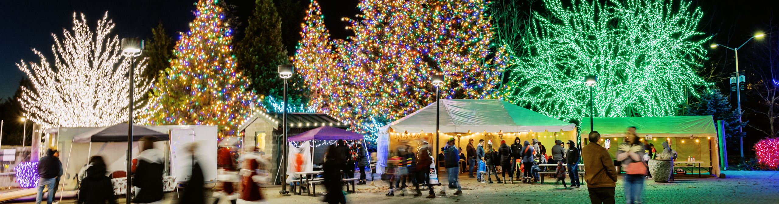 Tulalip Lights & Ice Header Image