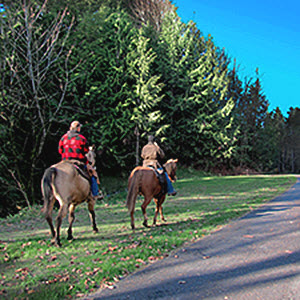 An enormously popular hiking, biking and equestrian trail, the Centennial Trail currently extends between the City of Snohomish and the Skagit County line.
