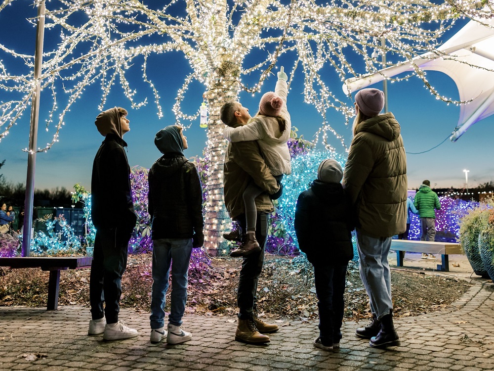 A father and mother with thei four children, standing under a beautiful tree with all white lights covering every branch.